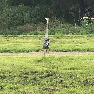 Meet your Posher, Kevin